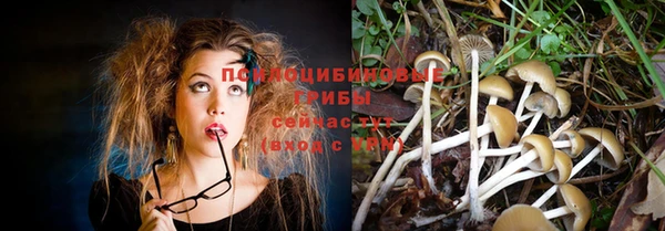 apvp Михайловка