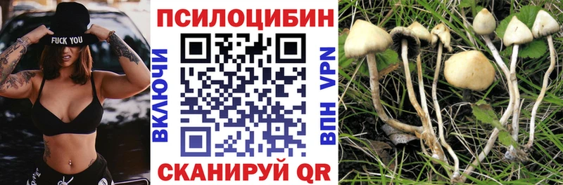 Псилоцибиновые грибы MAGIC MUSHROOMS  Мураши 