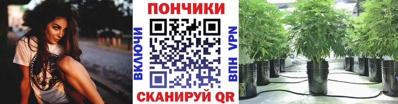 Бошки марихуана THC 21% Мураши