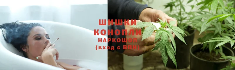 Каннабис OG Kush  KRAKEN ССЫЛКА  Мураши 